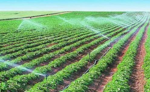 国产大片靠逼视频农田高 效节水灌溉